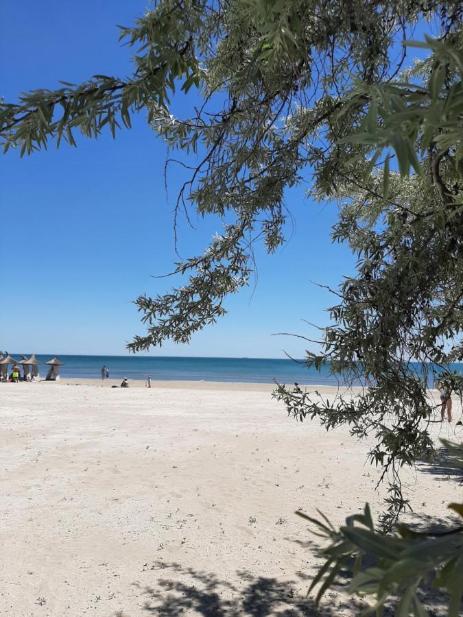 Eka Studio - Pool & Spa Beach Resort Năvodari Εξωτερικό φωτογραφία